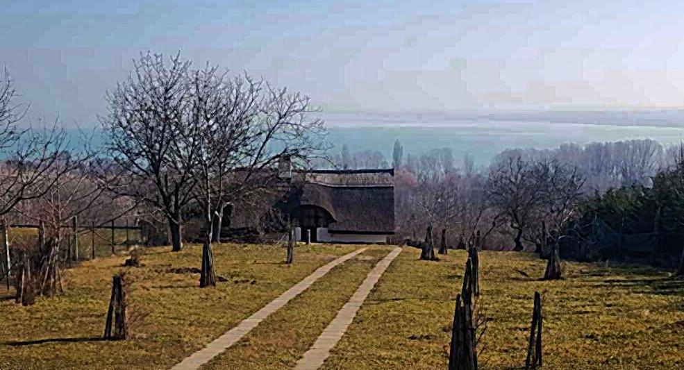 Villa Korozsa Vendeghaz تيهاني المظهر الخارجي الصورة